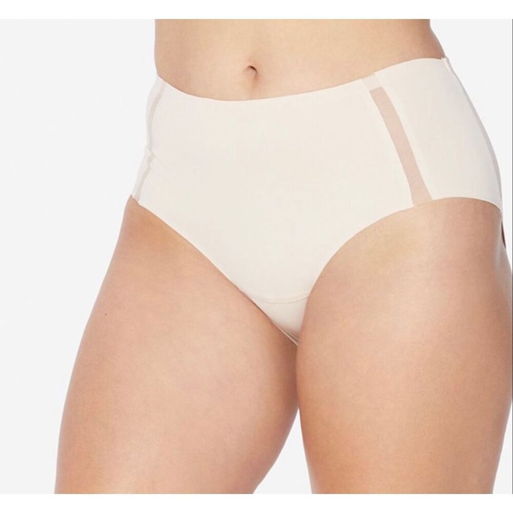 Ruby Ribbon Sculpting Brief Pale NWT Size 3XL